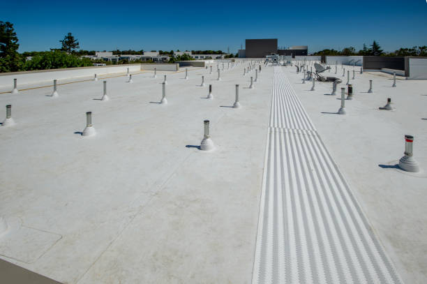 Best Roof Coating and Sealing  in Mount Pleasant, TN